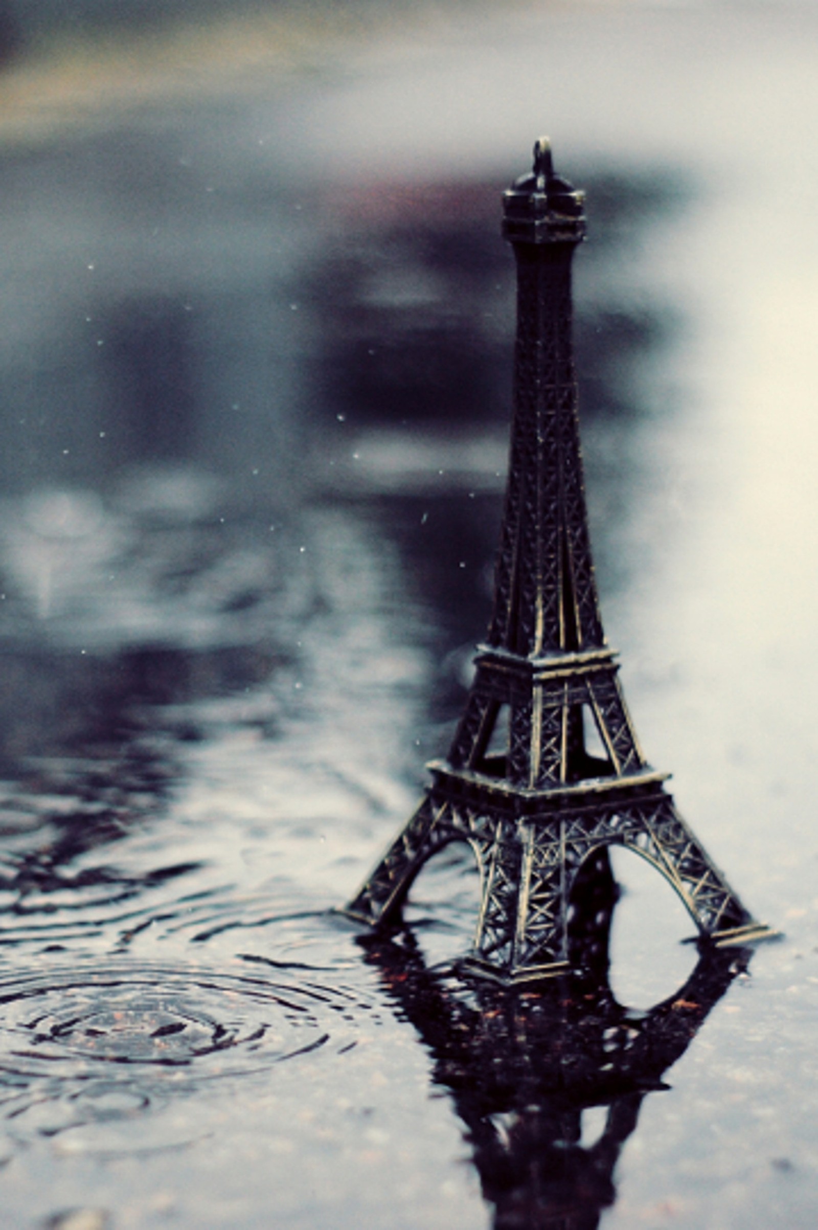 Descargar fondo de pantalla torre eiffel, naturaleza, parís, paris, lluvia