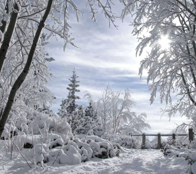 2013, nouveau, chute de neige, hiver