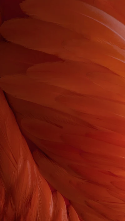 Textura de pluma roja vibrante para iOS 9 Beta en iPhone 6