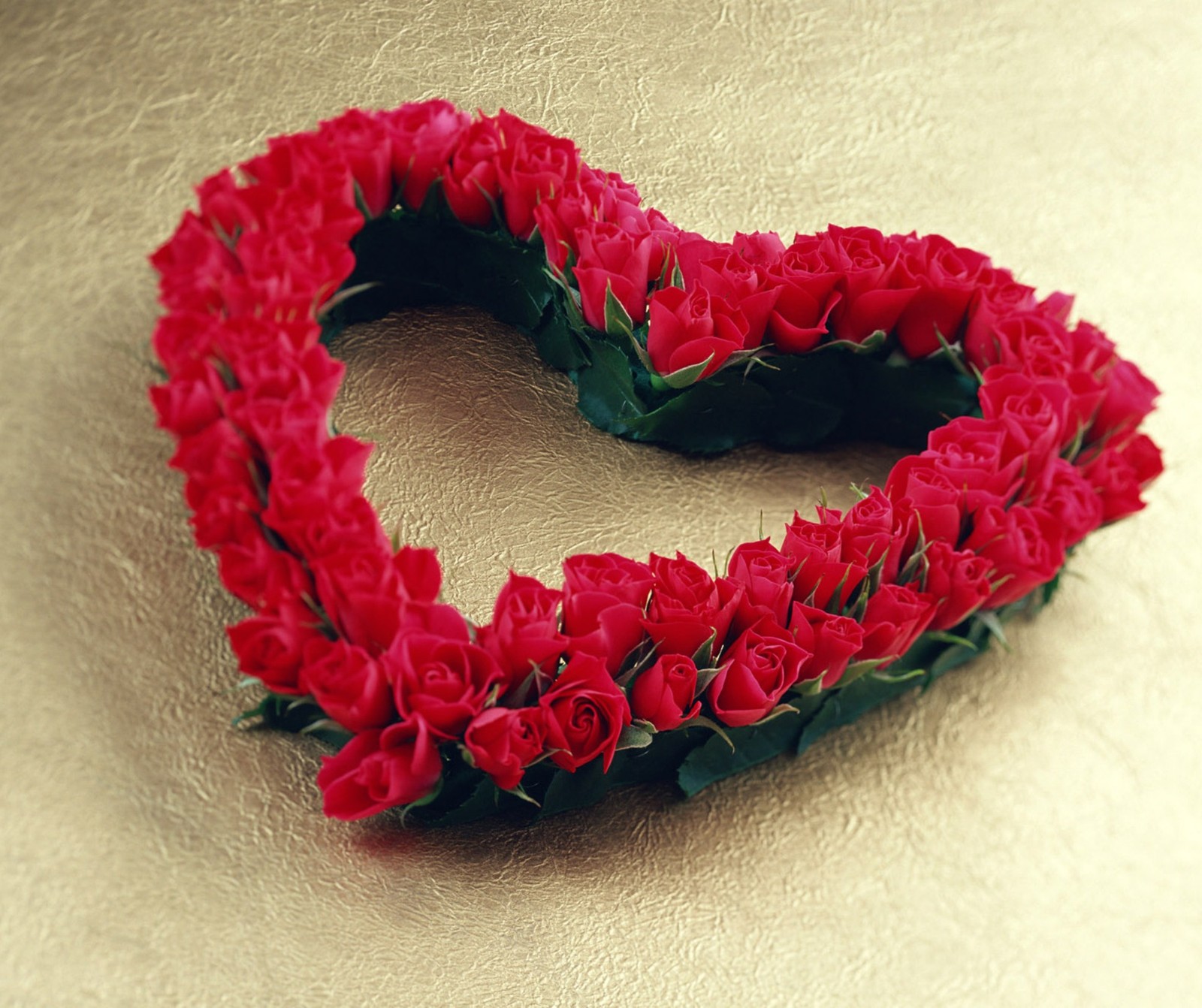 Un cœur fait de roses rouges sur une surface dorée (cœur, rose)