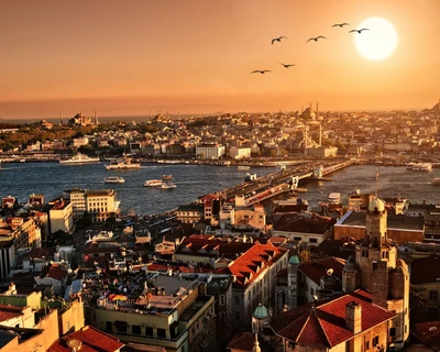 birds, buildings, sunrise, town, turkey