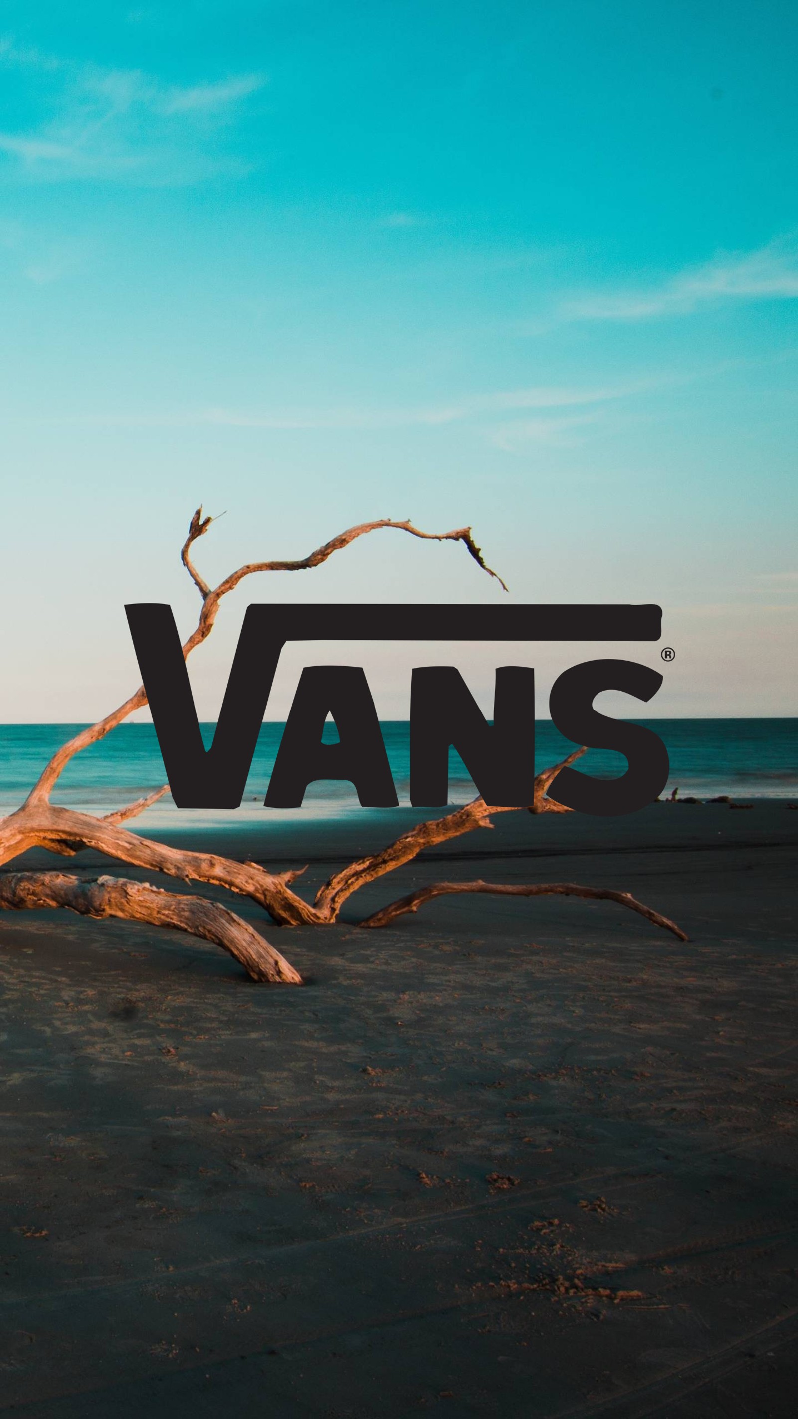 Logo vans sur une plage avec un arbre dérivé au premier plan. (plage, lumière, soleil, vans)