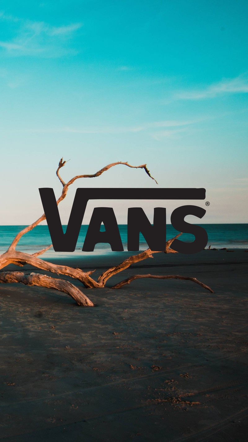 Логотип vans на пляже с выброшенным деревом на переднем плане. (пляж, свет, солнце, vans)