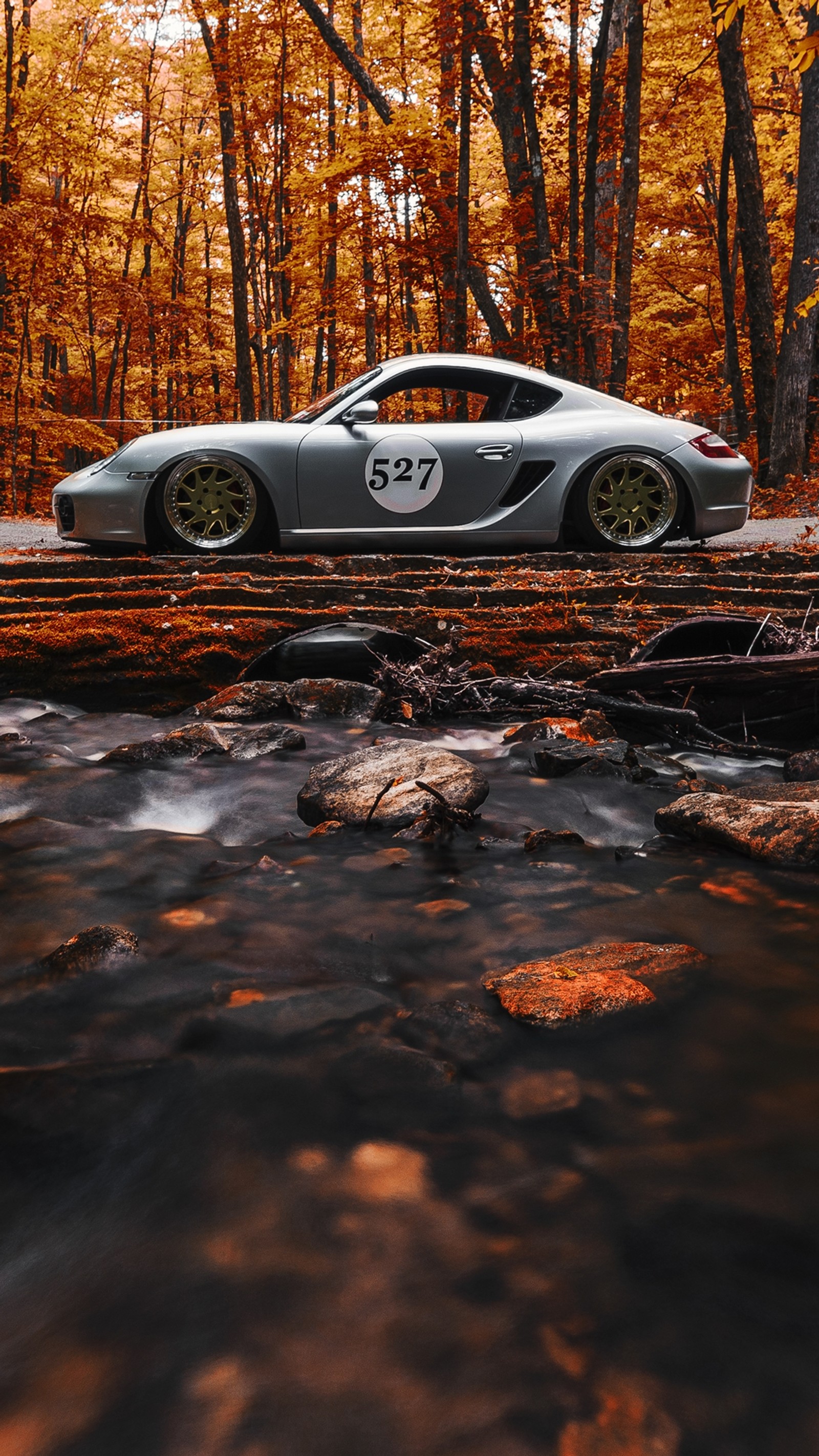 Descargar fondo de pantalla coche, otoño, belleza