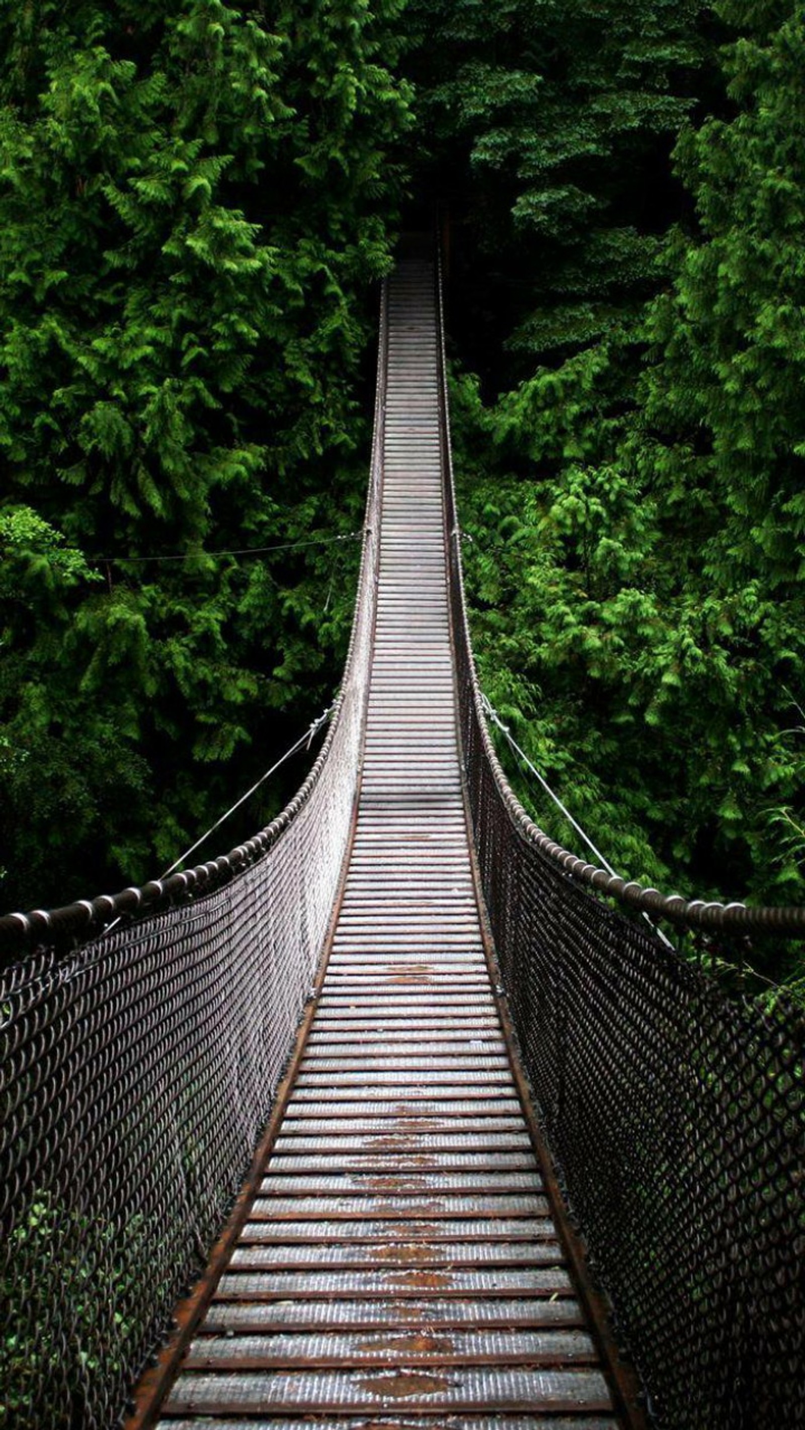 Pont en arc au-dessus d'une rivière avec une forêt en arrière-plan (pendre, paysage, nature, arbres)