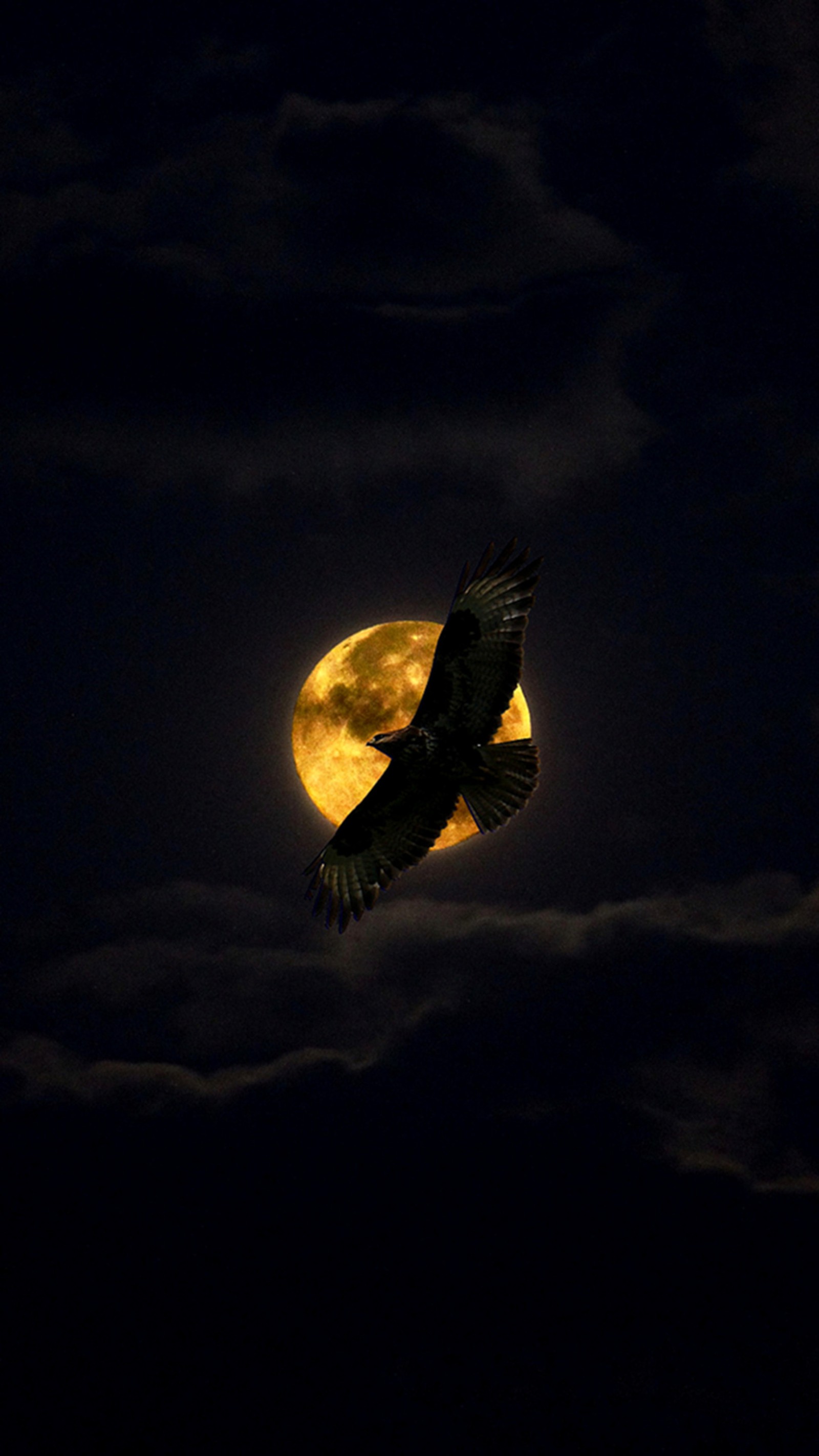 Girafe volant dans le ciel nocturne avec une pleine lune derrière (aigle, minuit)