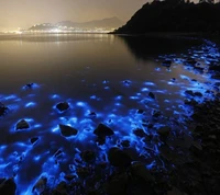 Olas azules bioluminiscentes por la noche