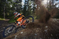 Dynamic downhill mountain biking on a forest trail.