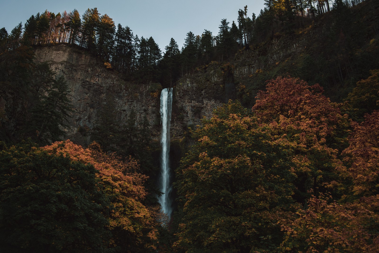 Una vista de una cascada en medio de un bosque (naturaleza, paisaje natural, bioma, cascada, agua)