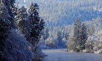 Sérénade d'hiver : Un paysage tranquille recouvert de neige