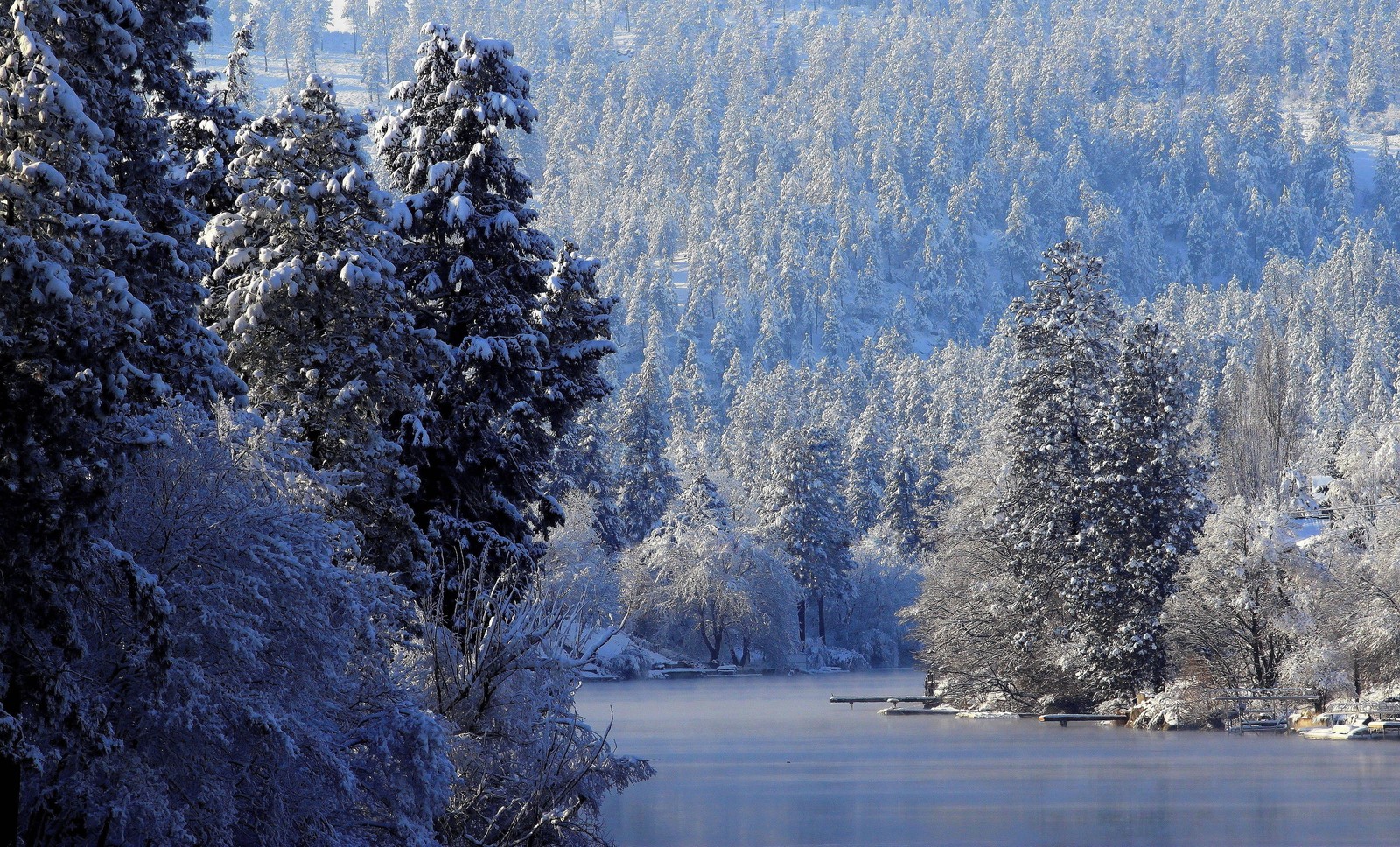 Des arbres enneigés bordent la rive d'un lac dans une vallée montagneuse (musique, hiver, neige, arbre, nature)