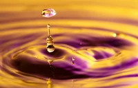 Colorful Liquid Drops in Purple and Yellow Swirls