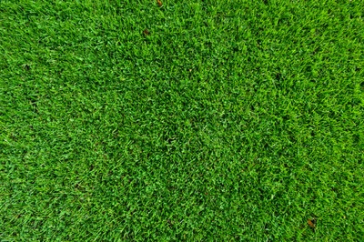 Lush Green Artificial Turf: A Vibrant Groundcover for Gardens and Lawns