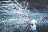 Ein charmante Schneemann, der sich zwischen frostigem Gras und zarten Zweigen niedergelassen hat und das Wesen des Winters und den festlichen Geist der Saison einfängt.