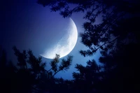 moon, nature, moonlight, atmosphere, astronomical object wallpaper