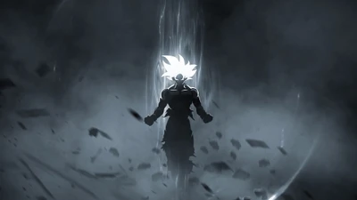 Monochrome Goku: Aufstieg in der Dunkelheit