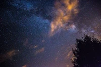 A breathtaking view of the Milky Way galaxy, illuminated stars, and wispy clouds against a night sky, framed by silhouetted tree branches.