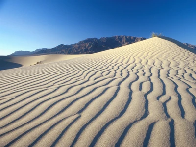 Dunes Ondulantes de Sable Chantant dans le Sahara