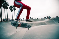 Skateboarder performing a trick at a lively skatepark surrounded by spectators and palm trees.