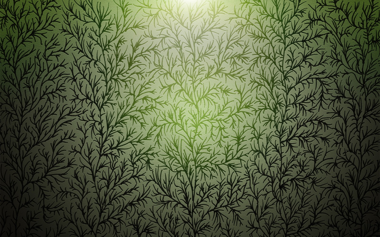 A close up of a green wall with a light shining through it (texture, green, pattern, tree, branch)