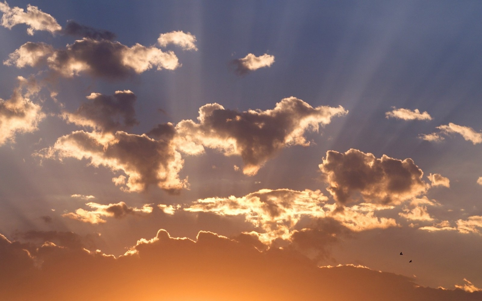 Des girafes volant dans le ciel au coucher du soleil avec le soleil brillamment à travers les nuages (nuage, cumulus, ensoleillement, crépuscule, matin)