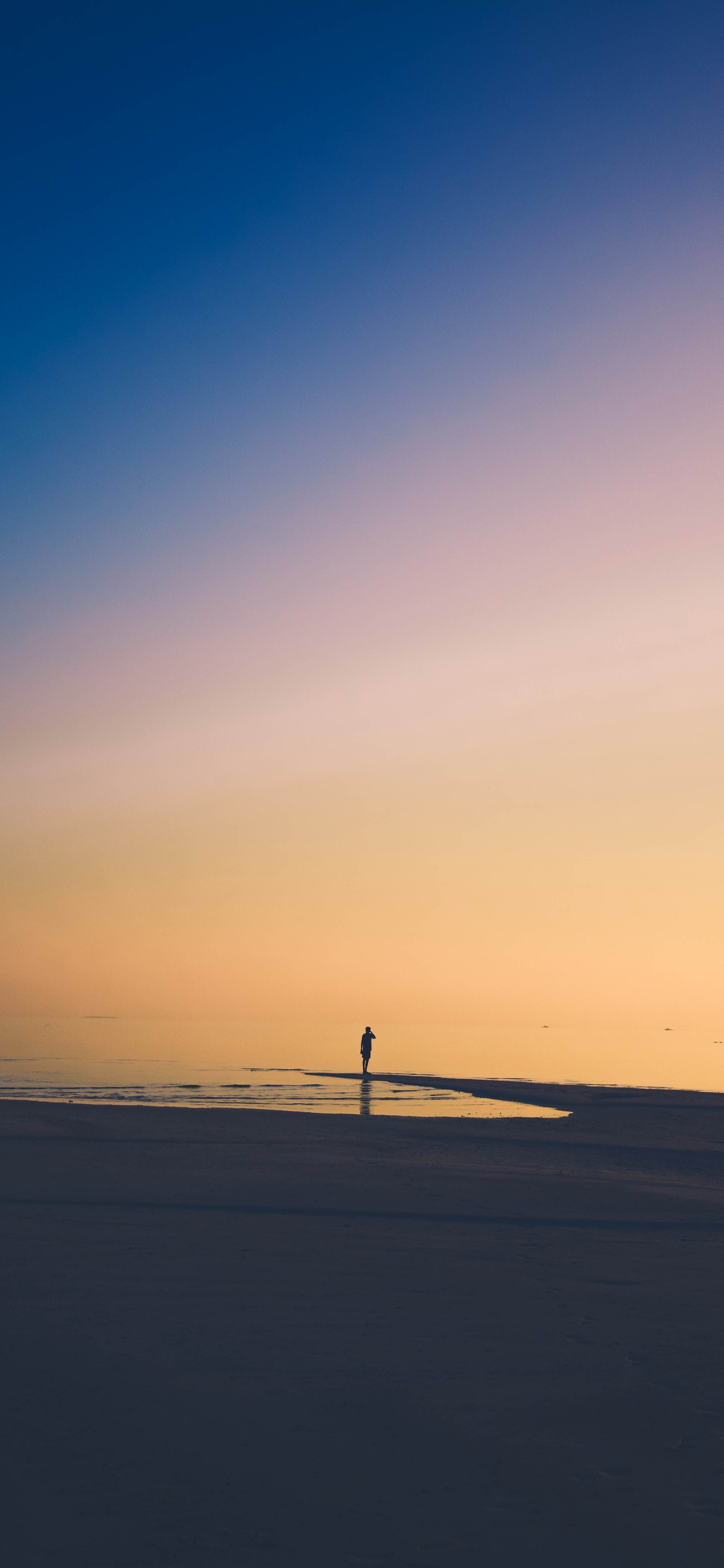 Girafa em pé na praia ao pôr do sol com uma prancha de surf na água (água, atmosfera, resplendor, nuvem, crepúsculo)