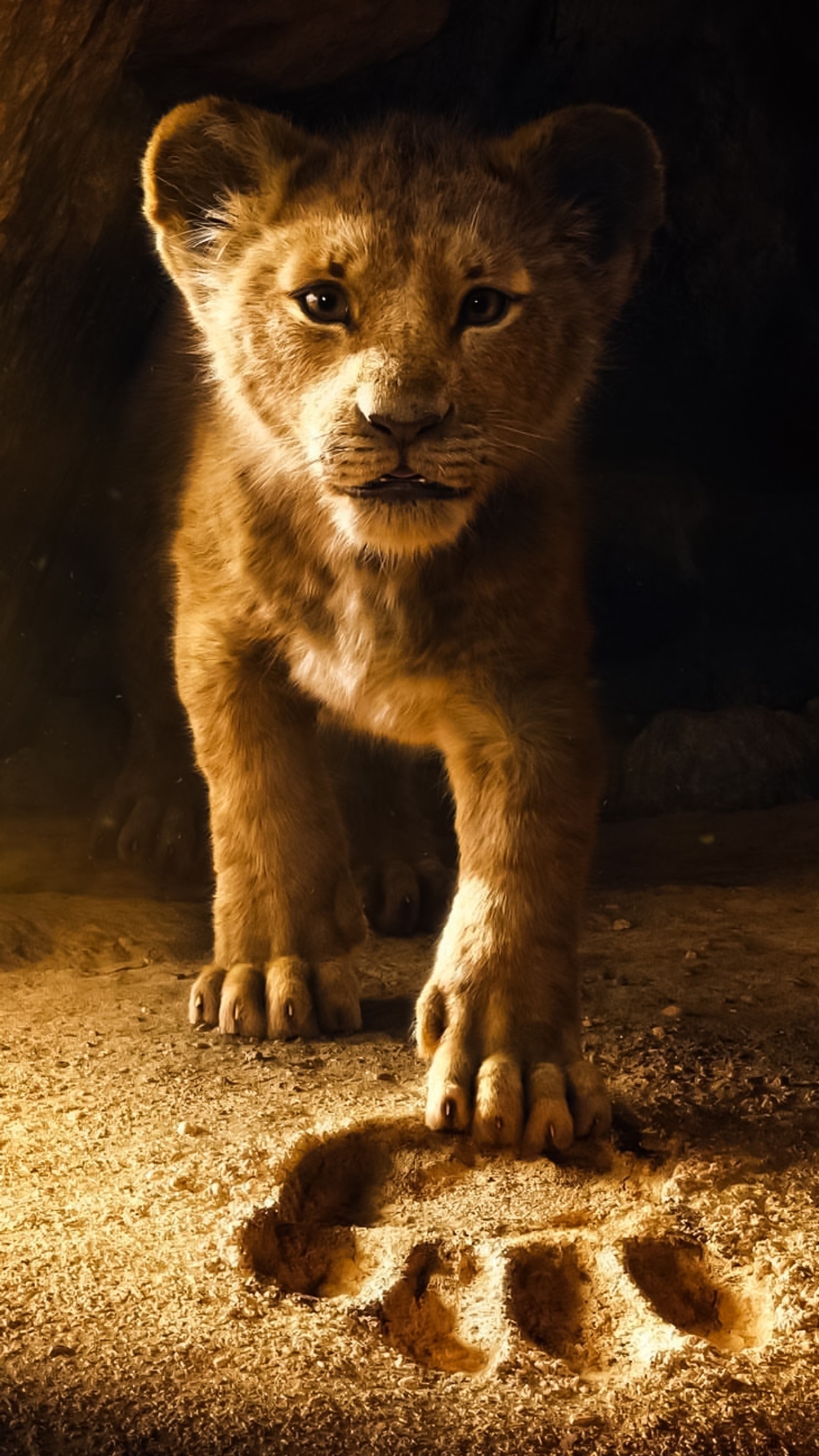 Un cachorro de león parado frente a una cueva con huellas de patas (león, rey, leones, leona, tigre)