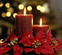 Velas vermelhas românticas cercadas por poinsettias festivas