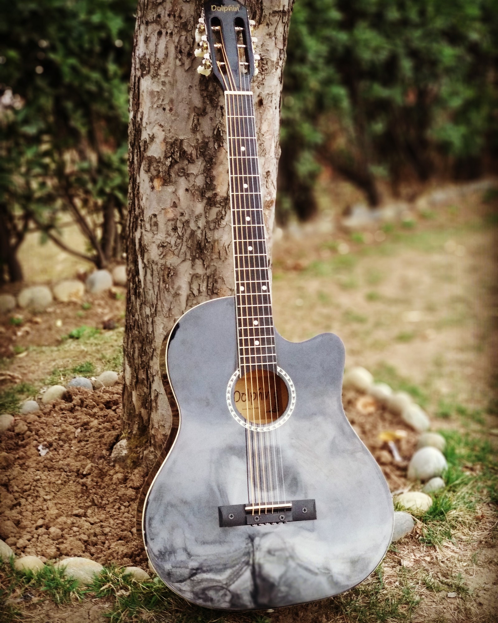 Una guitarra que está en el suelo junto a un árbol (enamorados, música)