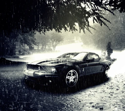 ford, ford mustang, mustang, pluie, shelby