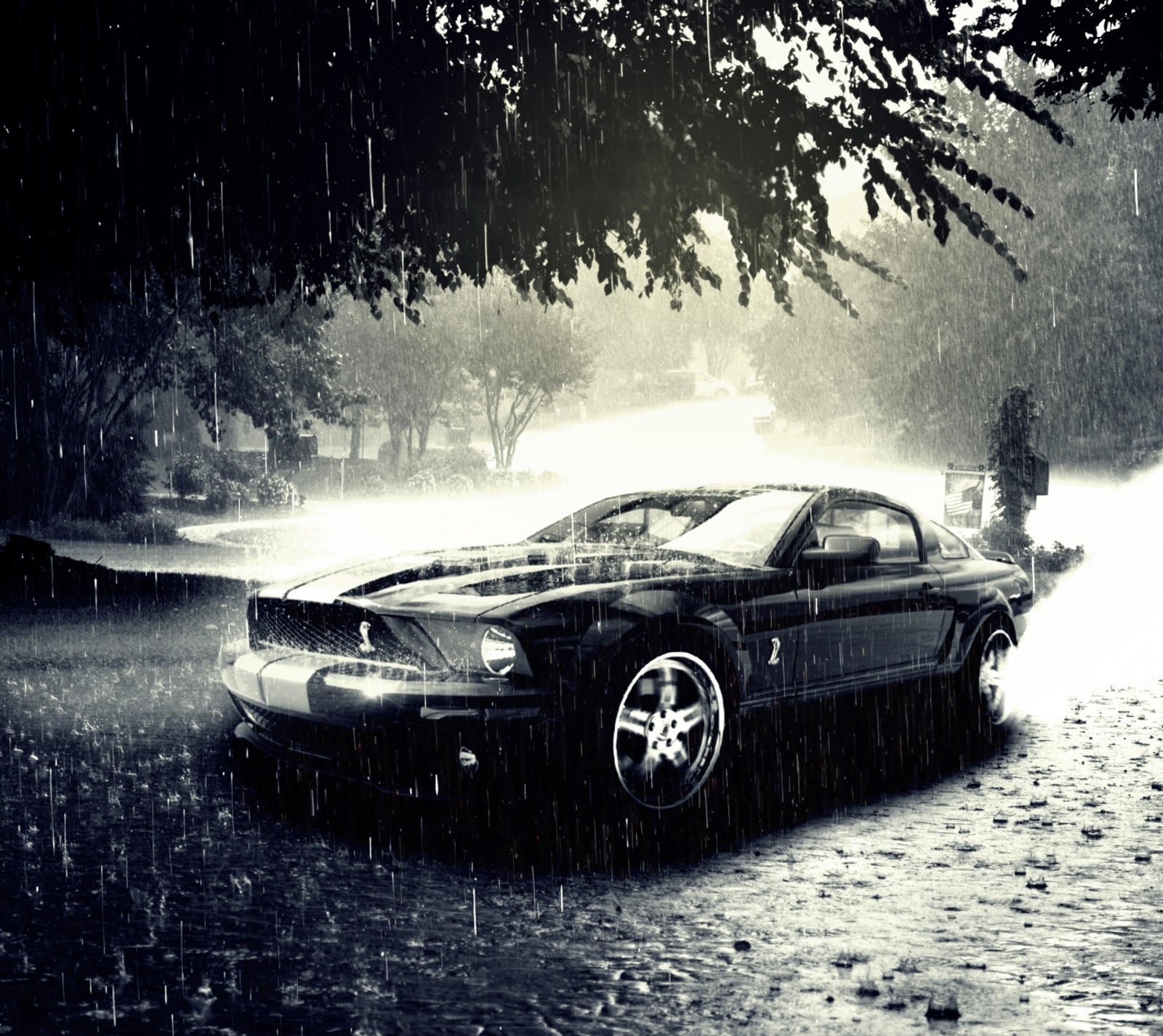 Künstlerisches schwarz-weiß foto eines autos im regen (ford, ford mustang, mustang, regen, shelby)