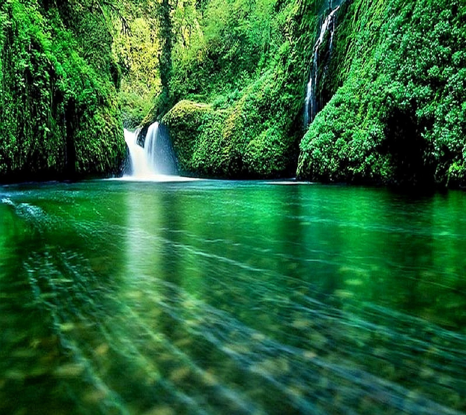 There is a waterfall in the middle of a green forest (nature)