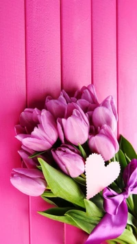 pink, tulip wallpaper