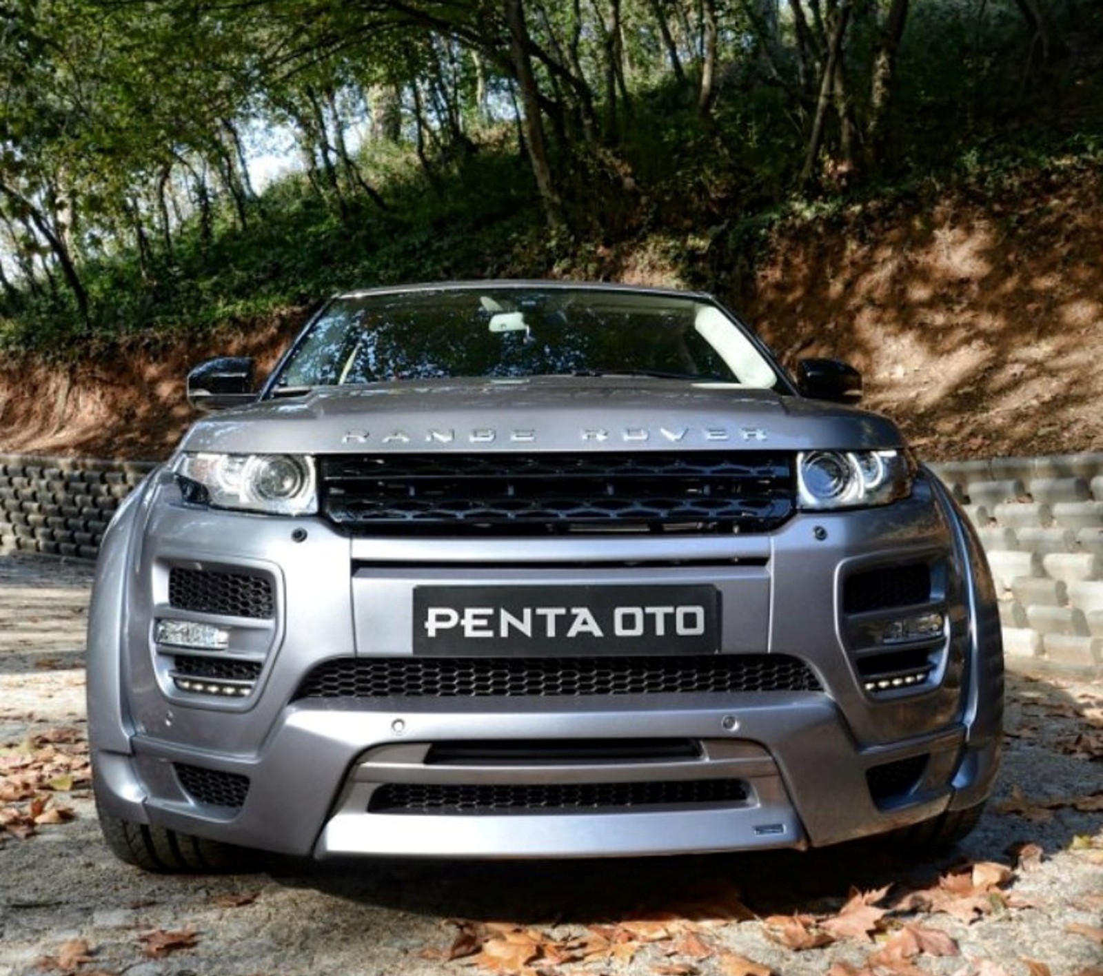 A close up of a car parked on a road with leaves on the ground (2013, car, modified, new, rover)