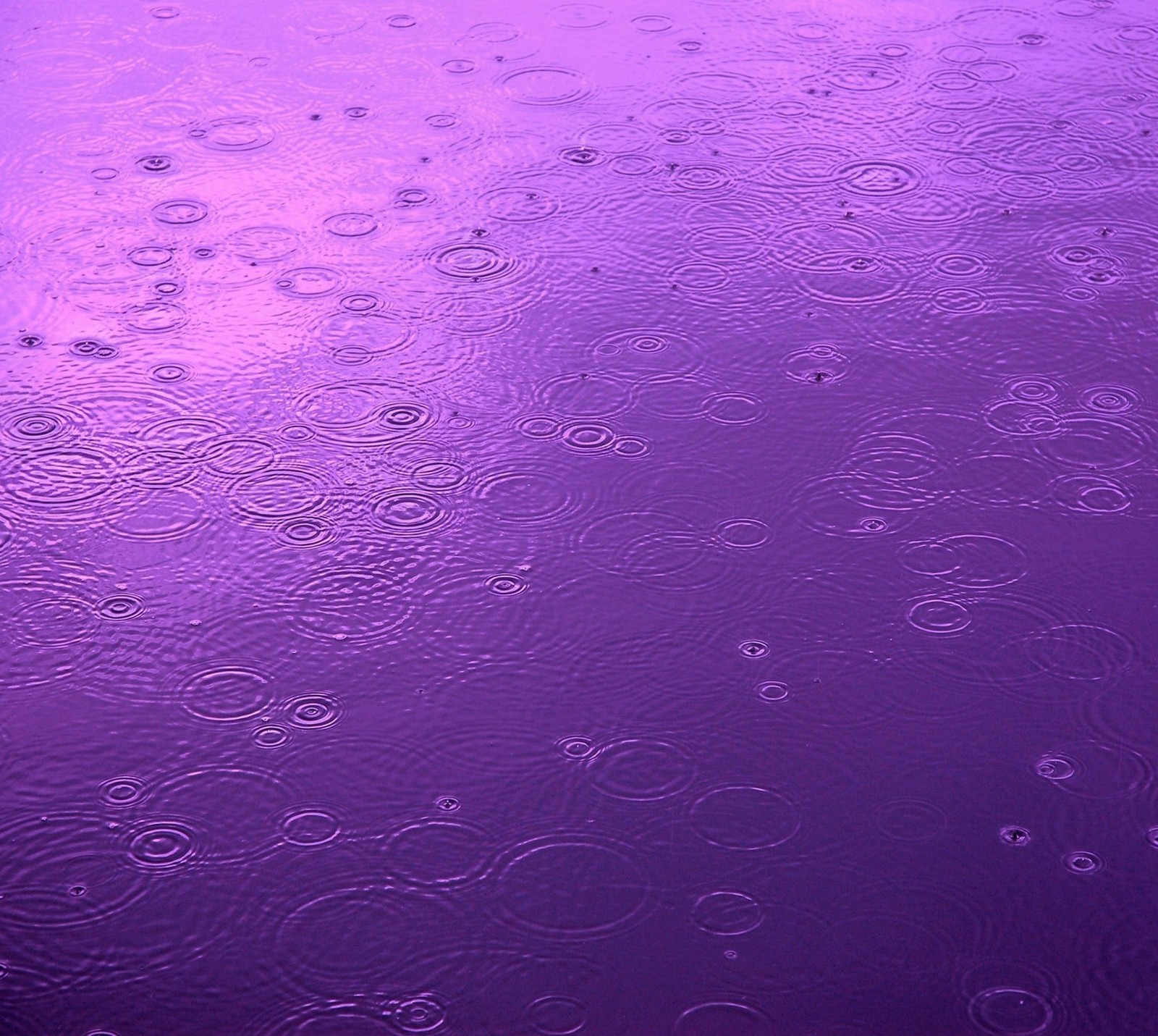 Gotas de lluvia moradas sobre una superficie mojada con un cielo morado (abej, beograd, lluvia)