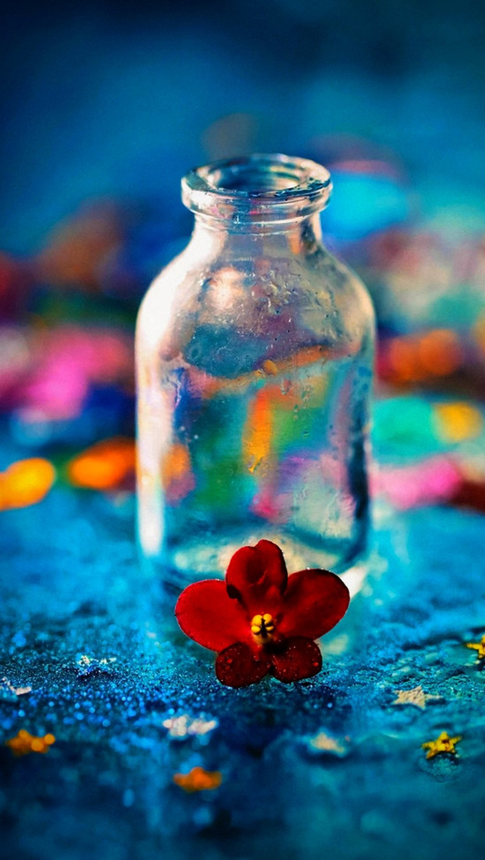 abstract, bottle, color, red flowers Download Wallpaper