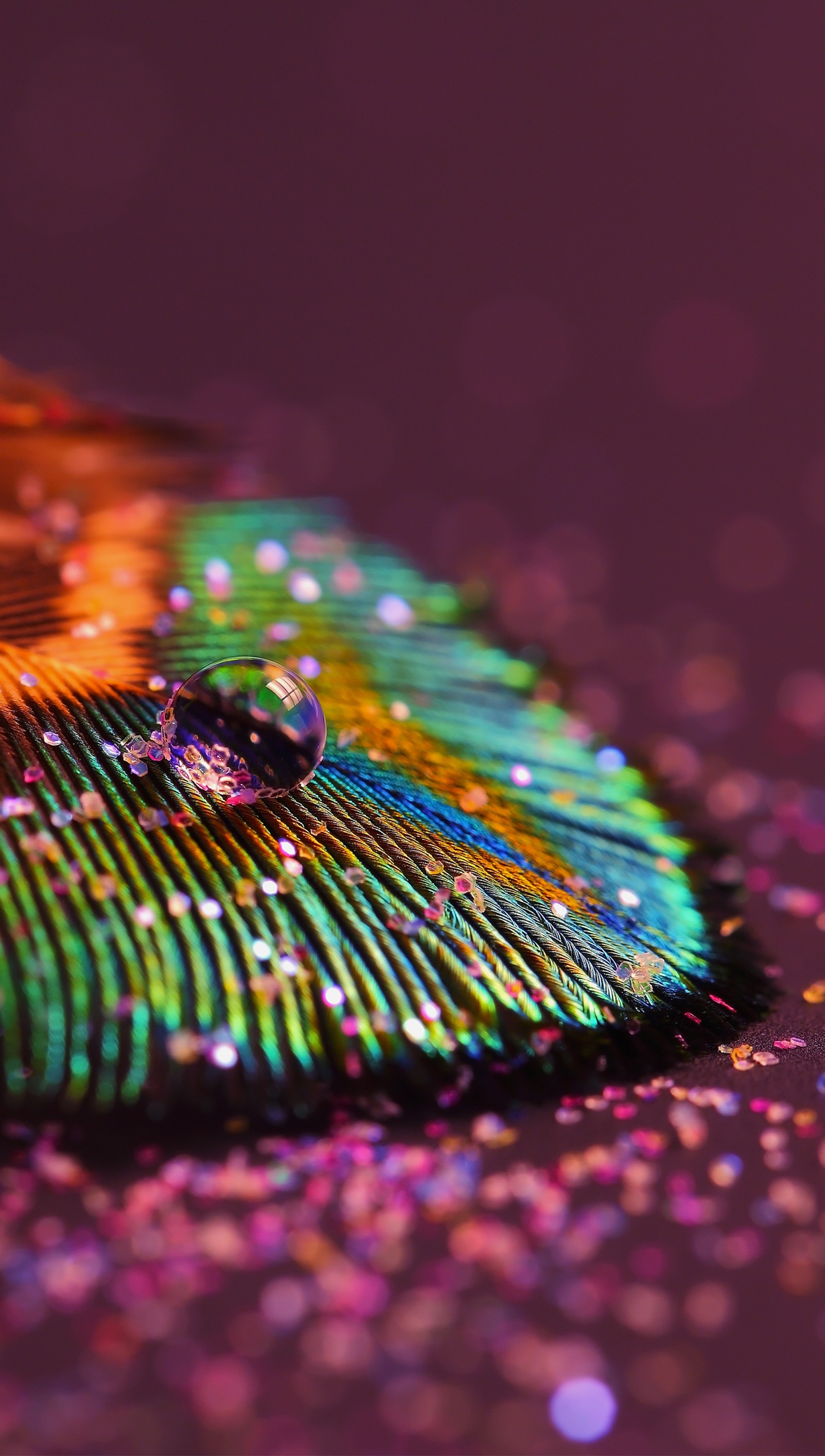 Une plume de paon avec une bague dessus (beau, bollywood, couleurs, plume, paillettes)