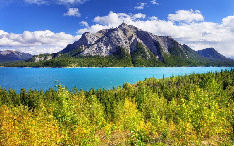 Вид на озеро, окруженное деревьями и горами (банф, banff, озеро морейн, озеро луиза, lake louise)