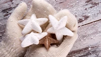 winter, snow, glove, wood, ingredient wallpaper