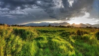 Pradera serena al atardecer con nubes dramáticas y montañas