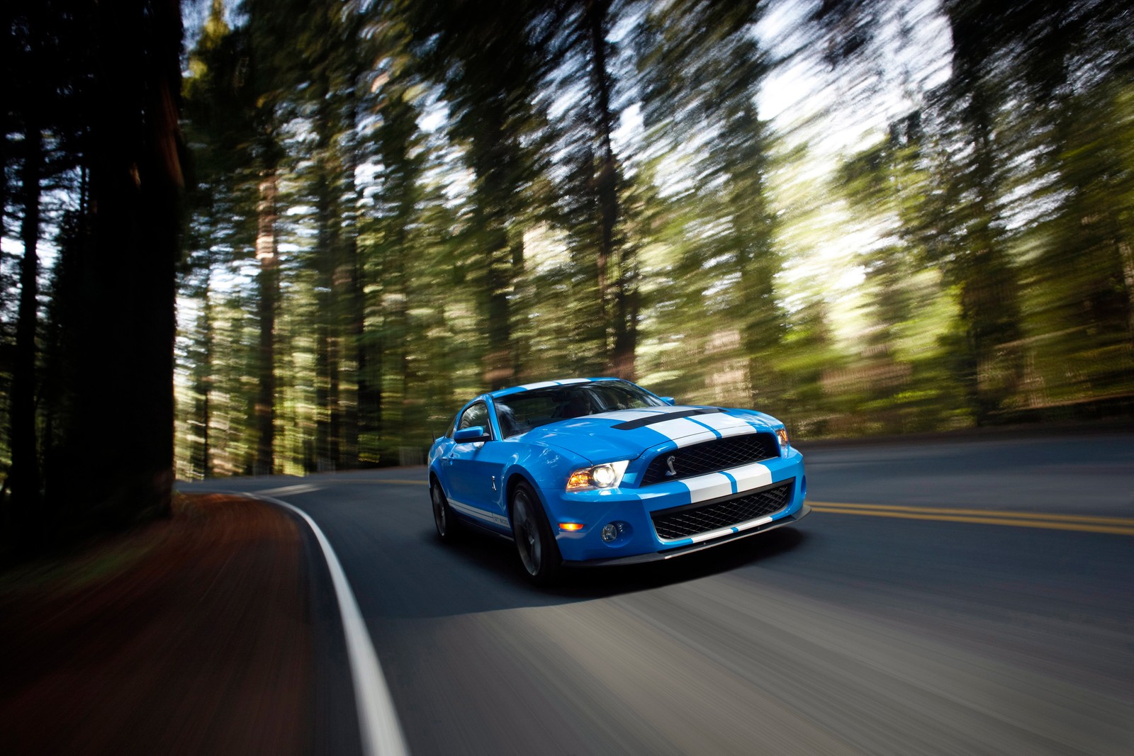 A blue mustang driving down a road in the woods (shelby mustang, ford shelby cobra concept, car, ford, muscle car)