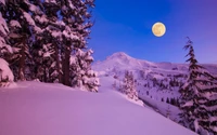 Paisaje invernal iluminado por la luna con montañas y árboles cubiertos de nieve