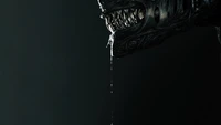 alien romulus, movie, xenomorph wallpaper