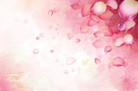 flower, petal, rose, illustration, heart wallpaper