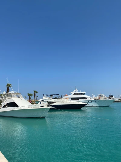 marina, transporte aquático, ferry, barco, navio de motor