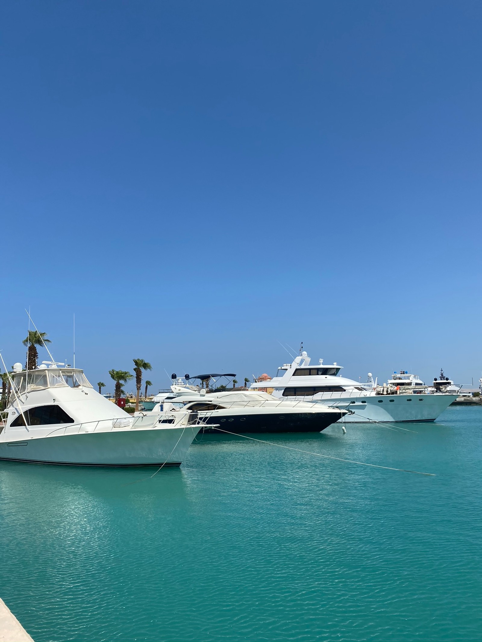 Boote im hafen mit palmen und blauem wasser (hafen, wassertransport, fähre, ferry, boot)