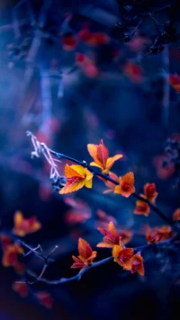 Fleurs orange vives au milieu d'un paysage naturel sombre