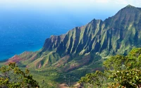 kalalau valley, mountainous landforms, vegetation, highland, ridge