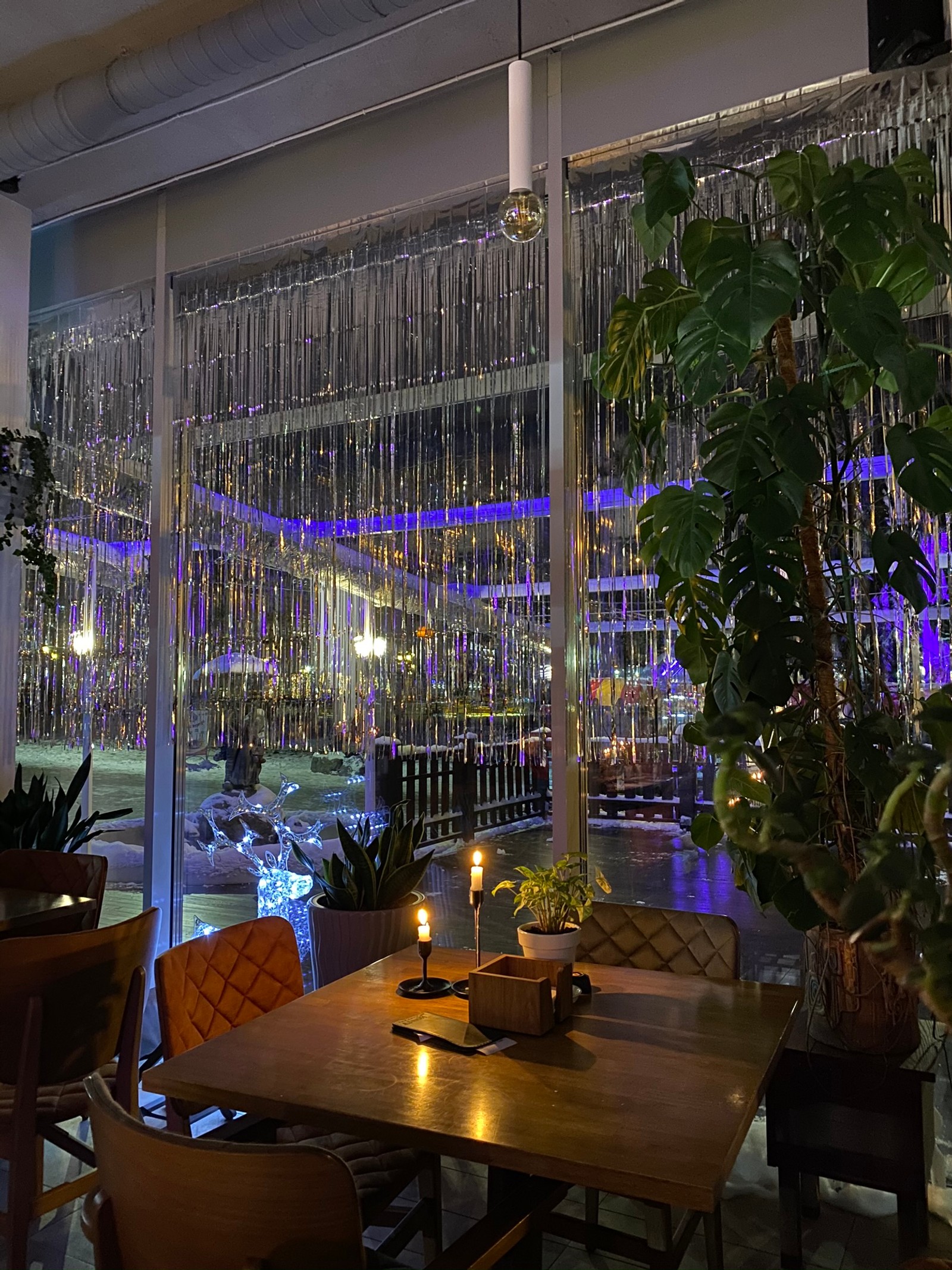 Il y a une table avec une bougie et une plante en pot devant une fenêtre (restaurant, science, biologie, éclairage, table)