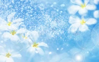 blue, daytime, flower, spring, petal wallpaper